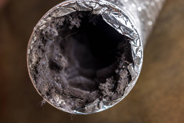 Best Commercial Air Duct Cleaning  in Nora Springs, IA